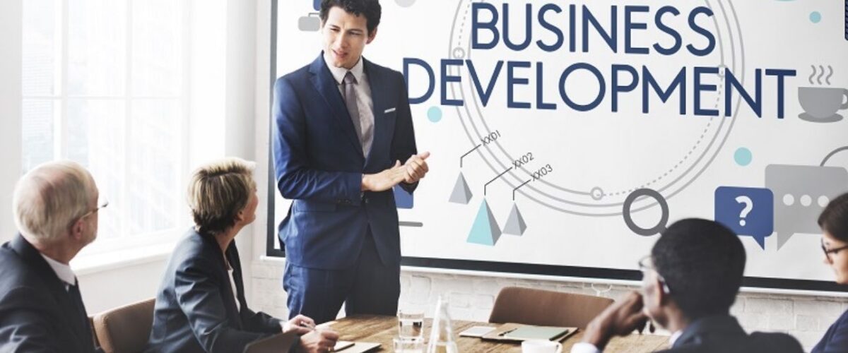 Learning the basics of business development